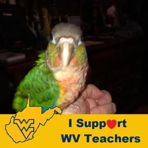 Meet your Posher, Patty